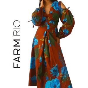 chinese dress ladies Farm Rio Provisrio 3D Roses Long Sleeve Draped Midi Dress